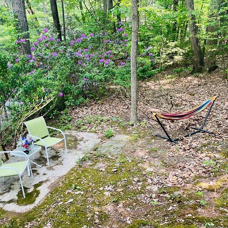 Modern Cabin With Hot Tub Grill Lake Beach Wineries Hiking Fishing And Hershey Park Family And Pet Friendly Superhosts On Ab&B Mount Gretna Zewnętrze zdjęcie